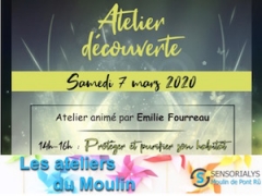 Atelier "Purifier et protéger sa maison"