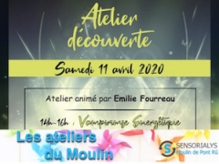 Atelier "Vampirisme énergétique"